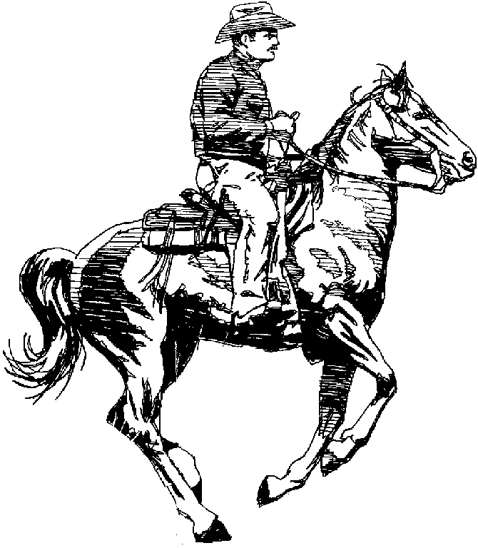 cowboy