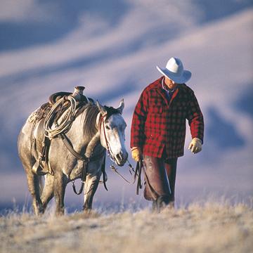 cowboy_horse